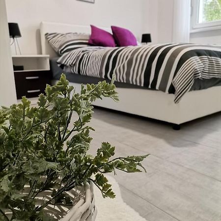 Apartman Maki Сомбор Екстер'єр фото
